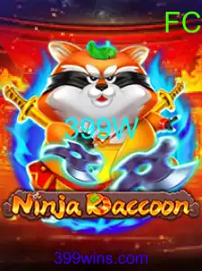 NinjaRaccoon